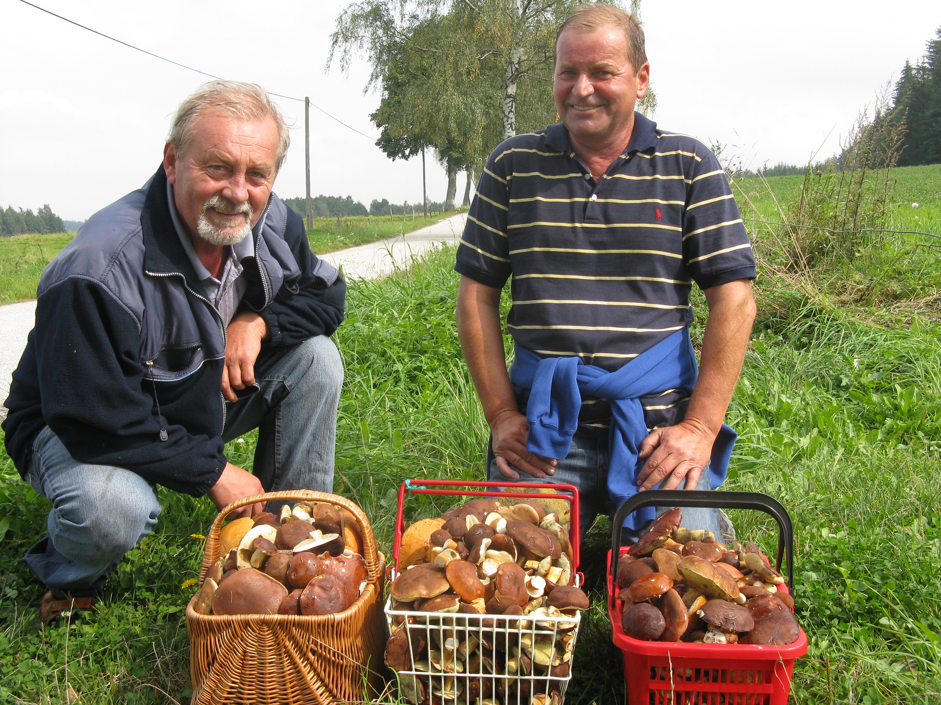 Czech Republic mushrooms