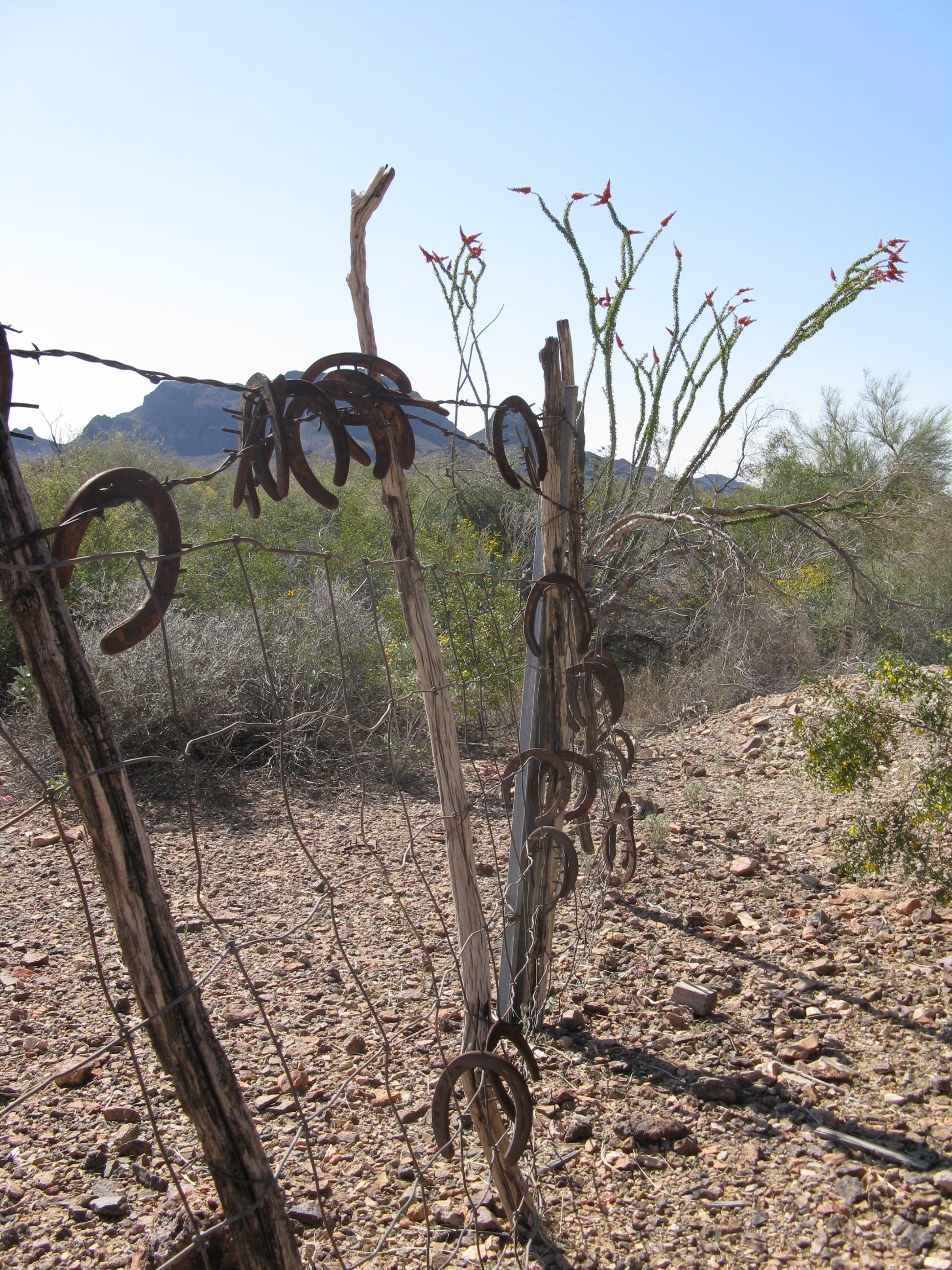 Arizona 2009 080