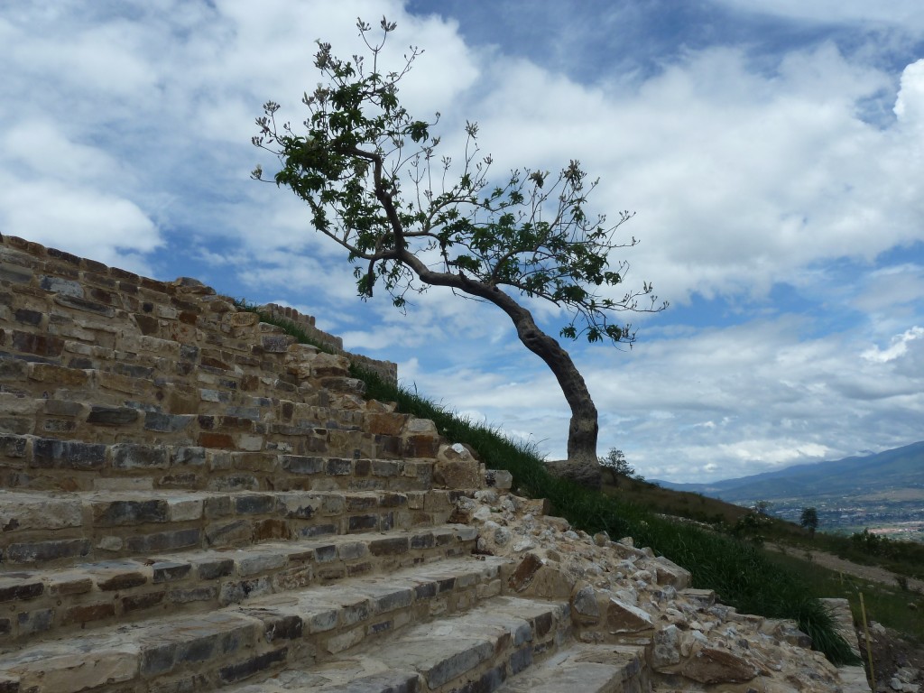 Archaeological Sites & Sweating in Oaxaca