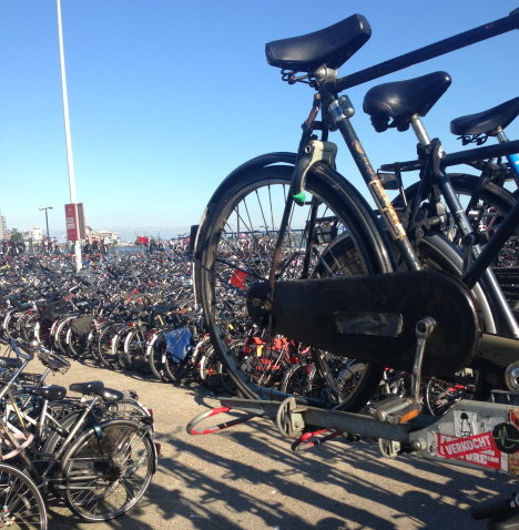 Bike Parking - Colleen Friesen