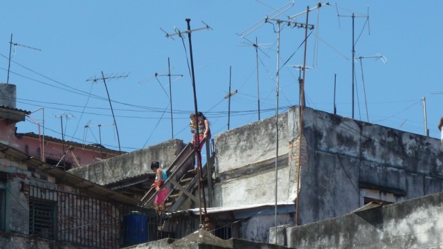 Rooftop Life - Colleen Friesen