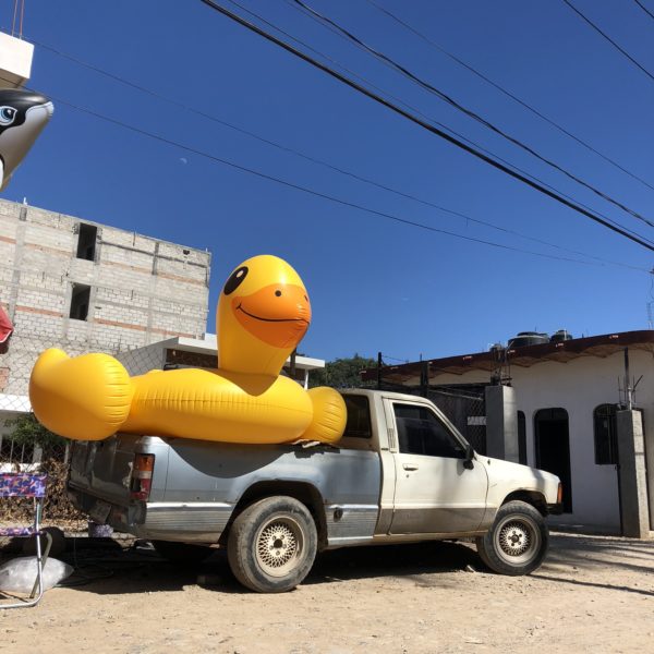 Duck in a Truck - Colleen Friesen